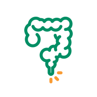 KS凯时·(中国区)官方网站