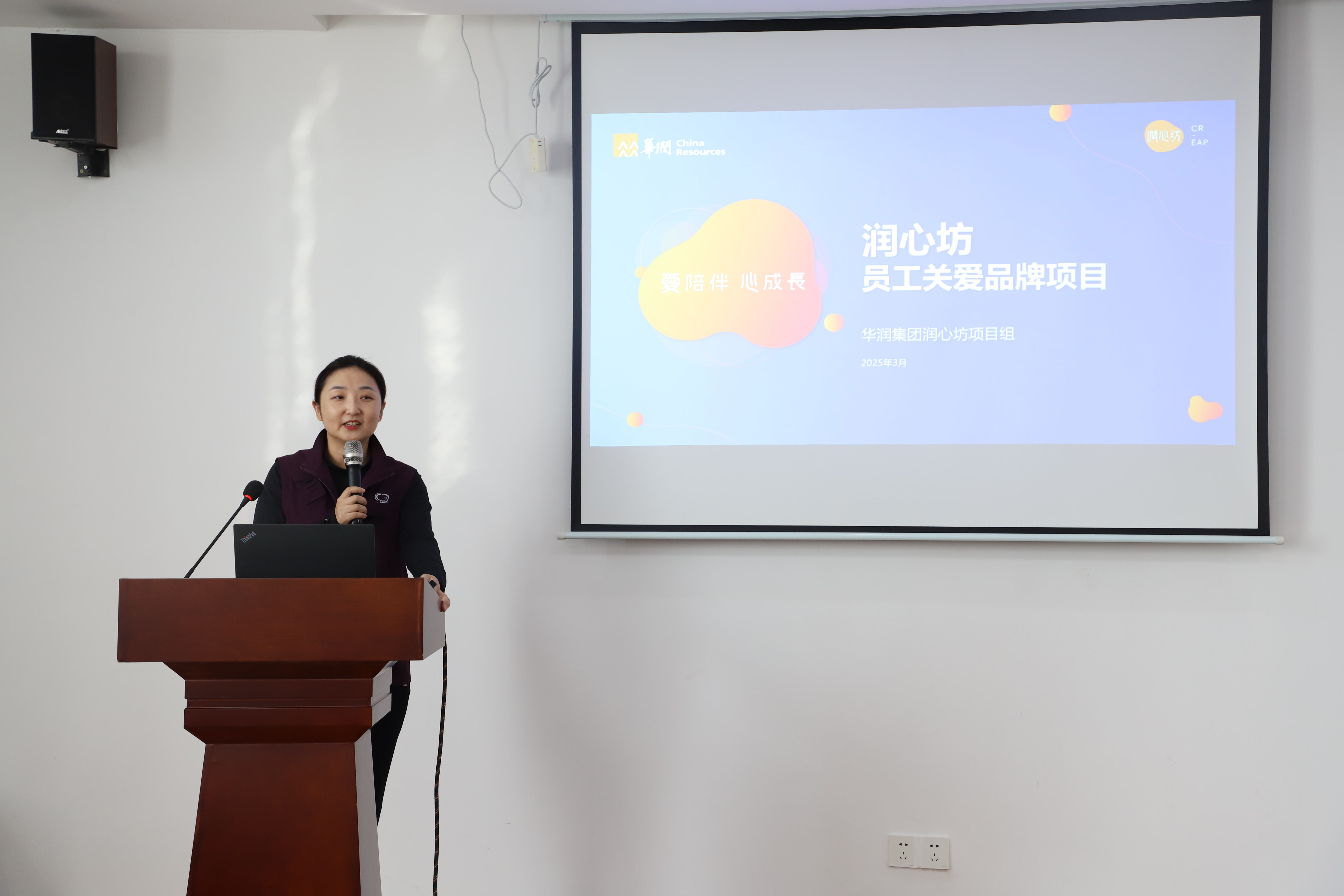 路月总 项目介绍.jpg