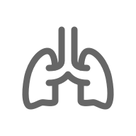 KS凯时·(中国区)官方网站