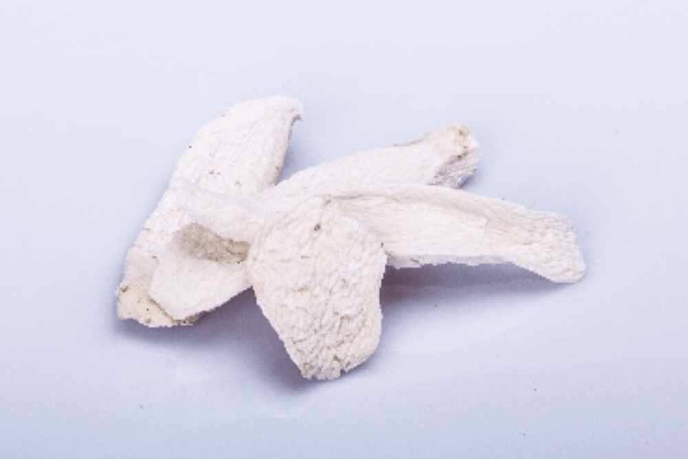 KS凯时·(中国区)官方网站