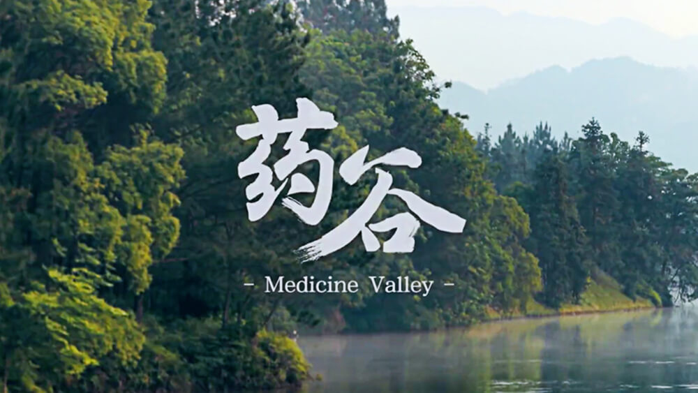 KS凯时·(中国区)官方网站