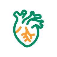 KS凯时·(中国区)官方网站