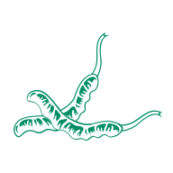 KS凯时·(中国区)官方网站