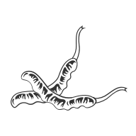 KS凯时·(中国区)官方网站