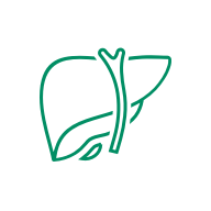 KS凯时·(中国区)官方网站